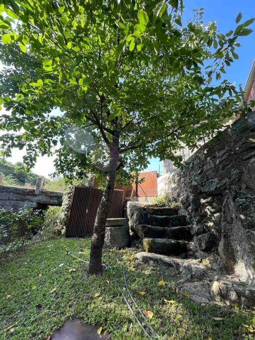 Casa Da Tintim Em Baiao Villa Buitenkant foto