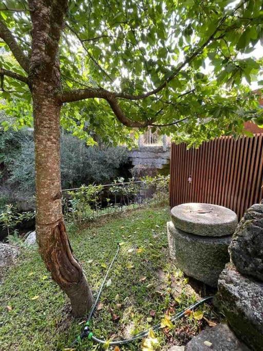Casa Da Tintim Em Baiao Villa Buitenkant foto